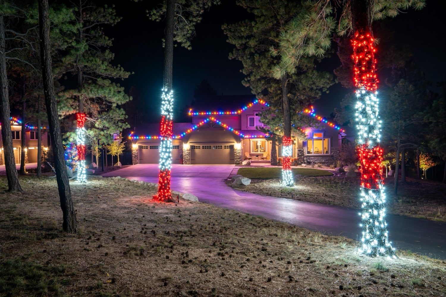 Festive multicolor display